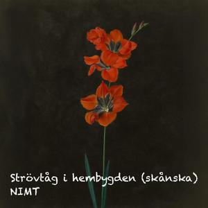 Strövtåg i hembygden (skånska)