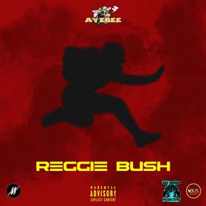 Reggie Bush (Explicit)