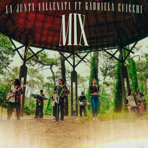 Mix Vallenato 2 (feat. Gabriela Cuicchi)