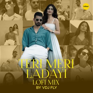Teri Meri Ladayi (Lo Fi)