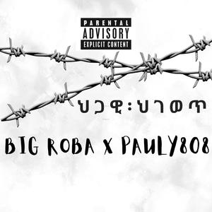 ህጋዊ/ህገወጥ (feat. Big ROBA) [Explicit]