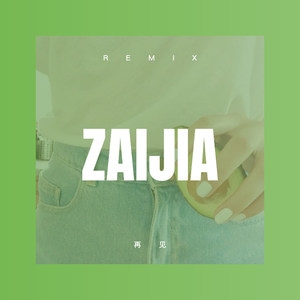 爱的太深也是祸 (DJ版)