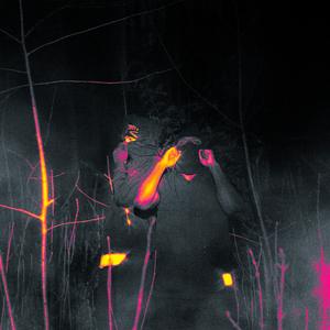 Argent, chattes & château fort (Explicit)