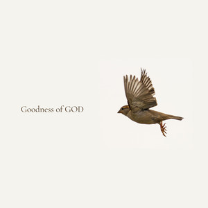 Goodness of God (Remixed)