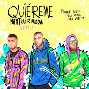 Quiereme Mientras se Pueda (Remix)