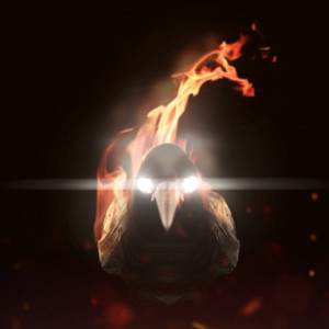 Flaming Crow