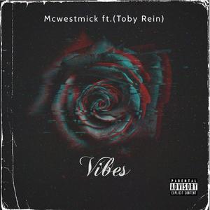 Vibes(feat. Toby Rein) (Explicit)