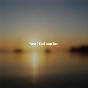 Neuf Estimation