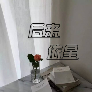 后来伴奏 (Remix)