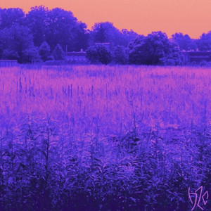 rose gardens (Dawn Medrek Remix)