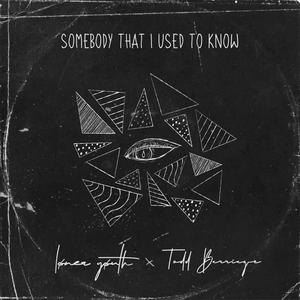 Somebody That I Used To Know (Emo Version)