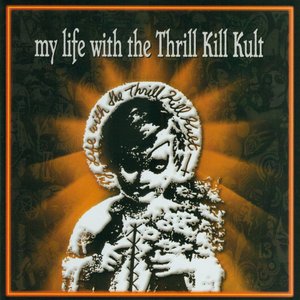 My Life With The Thrill Kill Kult