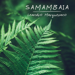 Samambaia