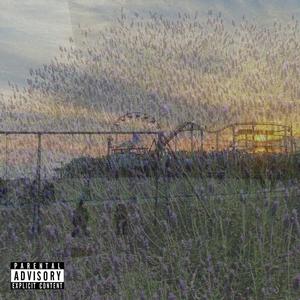 LAVANDA (feat. The Mushroom Man) [Explicit]