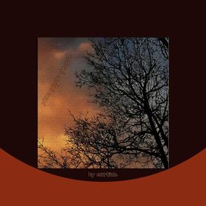 plain paper plane(s).