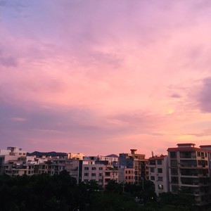 城中路237号 (Demo)