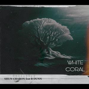 White Coral (feat. B Dunn) [Explicit]