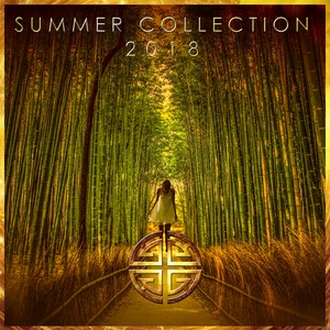 Summer Collection 2018 (Continuous DJ Mix)