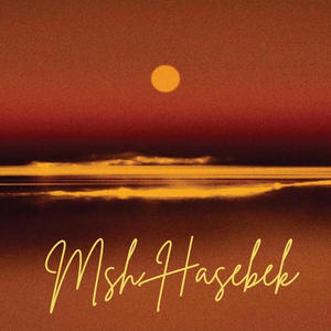 MSH Haseebek (feat. ZEINA)