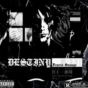 DESTINY (Explicit)