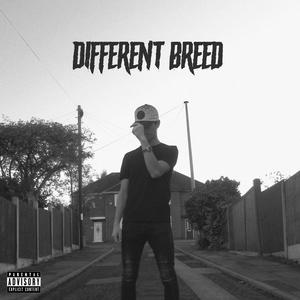 Different Breed (Explicit)