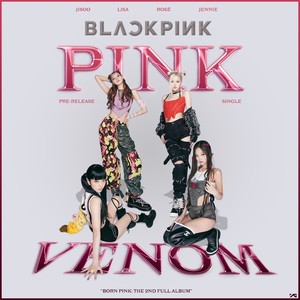 Pink Venom (翻奏: kph)封面
