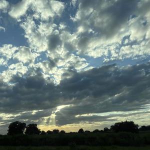 lie detector/clear view