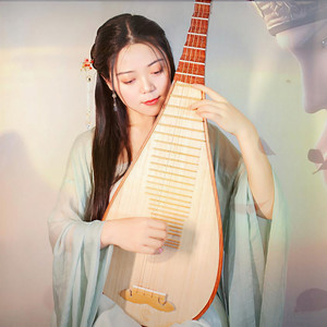 【双琵琶】天行九歌-乐落清音