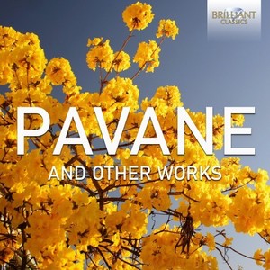 Pavane pour une infante défunte in G Major, M. 19