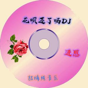 花呗还了吗DJ