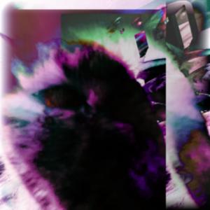 A world of Christmas Magic (ft. St. Nick) (feat. St. Nick)