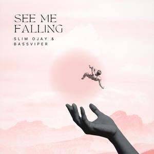 See Me Falling (feat. BassViper) (Explicit)