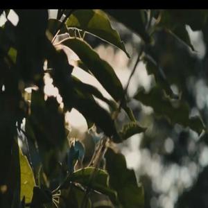 Amantes Da Tuga (feat. Deadflyingthings) (Explicit)