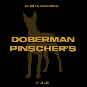 Doberman Pinscher's (Explicit)