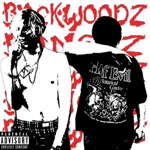 BACKWOODZ BANGAZ (feat. 333Toast) [Explicit]