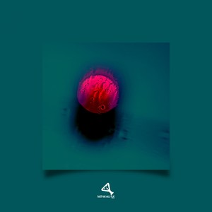The Mole On Acid (Original Mix)