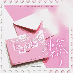 非我不可