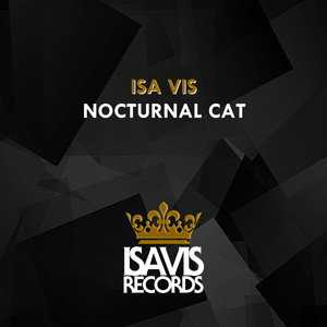 Nocturnal Cat