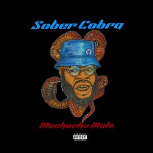 SOBER COBRA (Explicit)