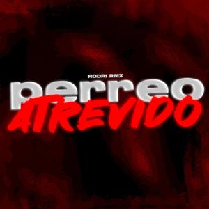 Perreo Atrevido (Explicit)