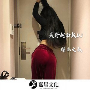 硬曲越南鼓最火 (DJ版)