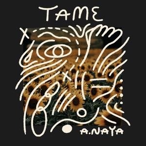 Tame (Explicit)