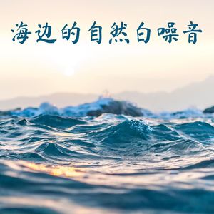 海边的自然白噪音: 海鸥的声音, 日落海滩的浪声