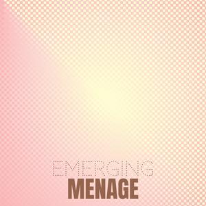 Emerging Menage