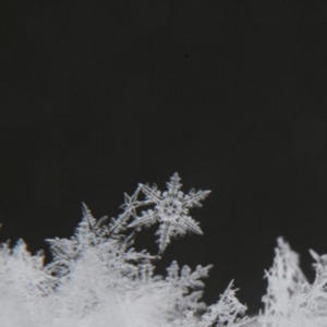 into oblivion (Explicit)