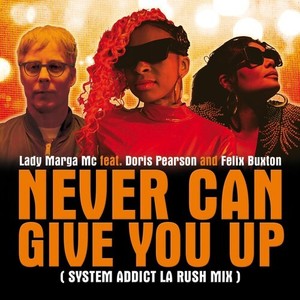 Never Can Give You Up (System Addict LA Rush Mix)