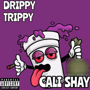 Drippy Trippy (Explicit)