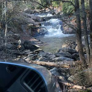 Where Have the Youths Dem Gone