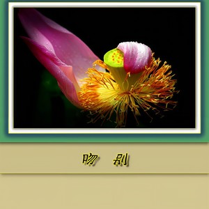 为了爱梦一生