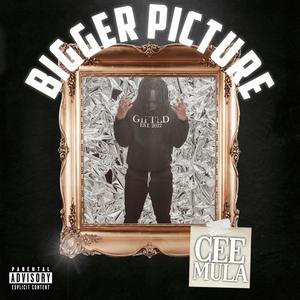 Bigger Picture (Explicit)